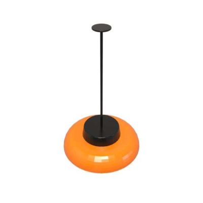Split Lighting Series Pendent Light