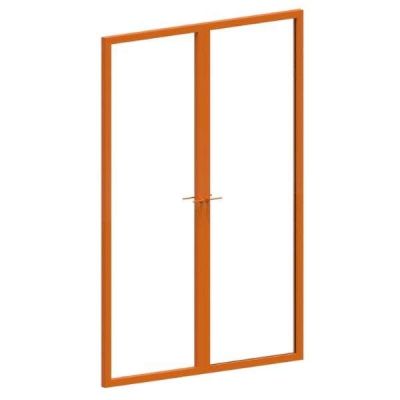Curtain Wall Double Swing Door