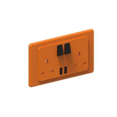 2 Gang Switched Socket + USB