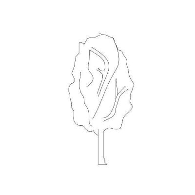 Tree Silhouette