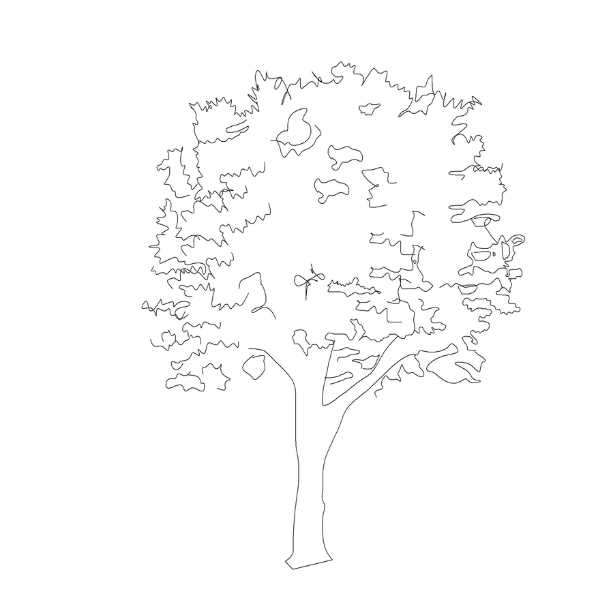 Tree Silhouette