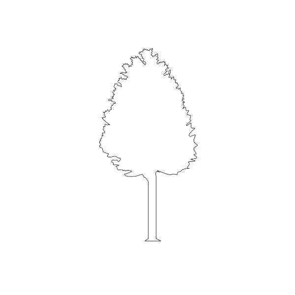 Tree Silhouette