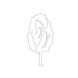 Tree Silhouette