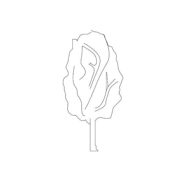 Tree Silhouette