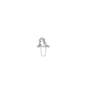 Indoor Plant Silhouette