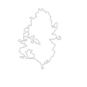 Tree Silhouette