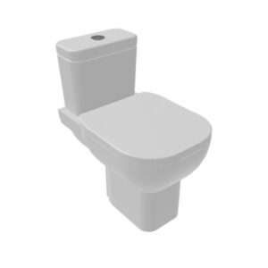 D-Shaped Toilet