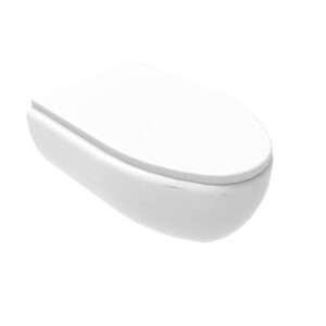 Wall Mounted Toilet