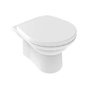 Back To Wall Toilet