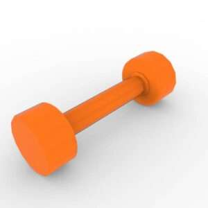 10 LB Dumbbell
