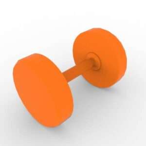 45 LB Dumbbell