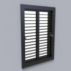 Double Louver Window