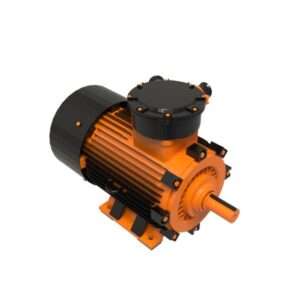 Industrial Electric Motor