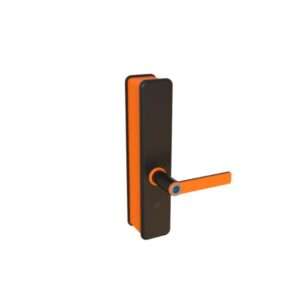 Intelligent Smart Door Lock