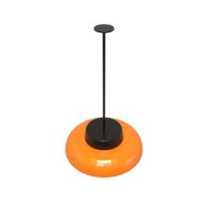 Split Lighting Series Pendent Light
